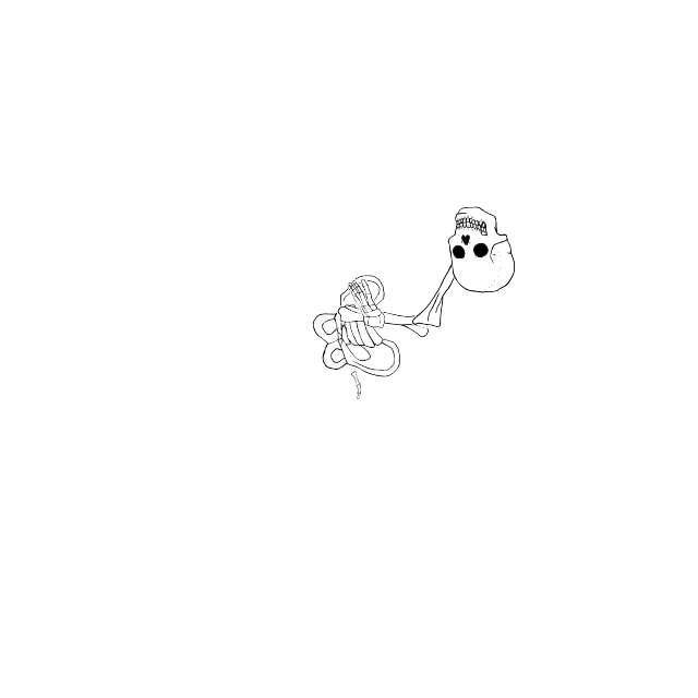 Dem bones dem bones dem – dry bones!