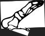 Dem bones dem bones dem – dry bones!