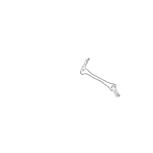 Dem bones dem bones dem – dry bones!