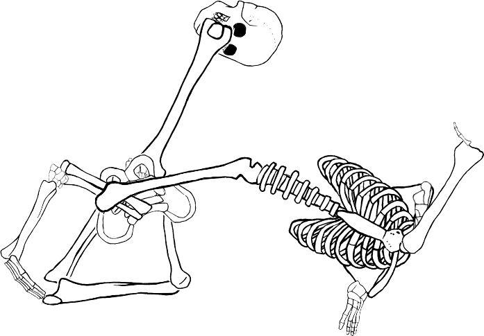 Dem bones dem bones dem – dry bones!