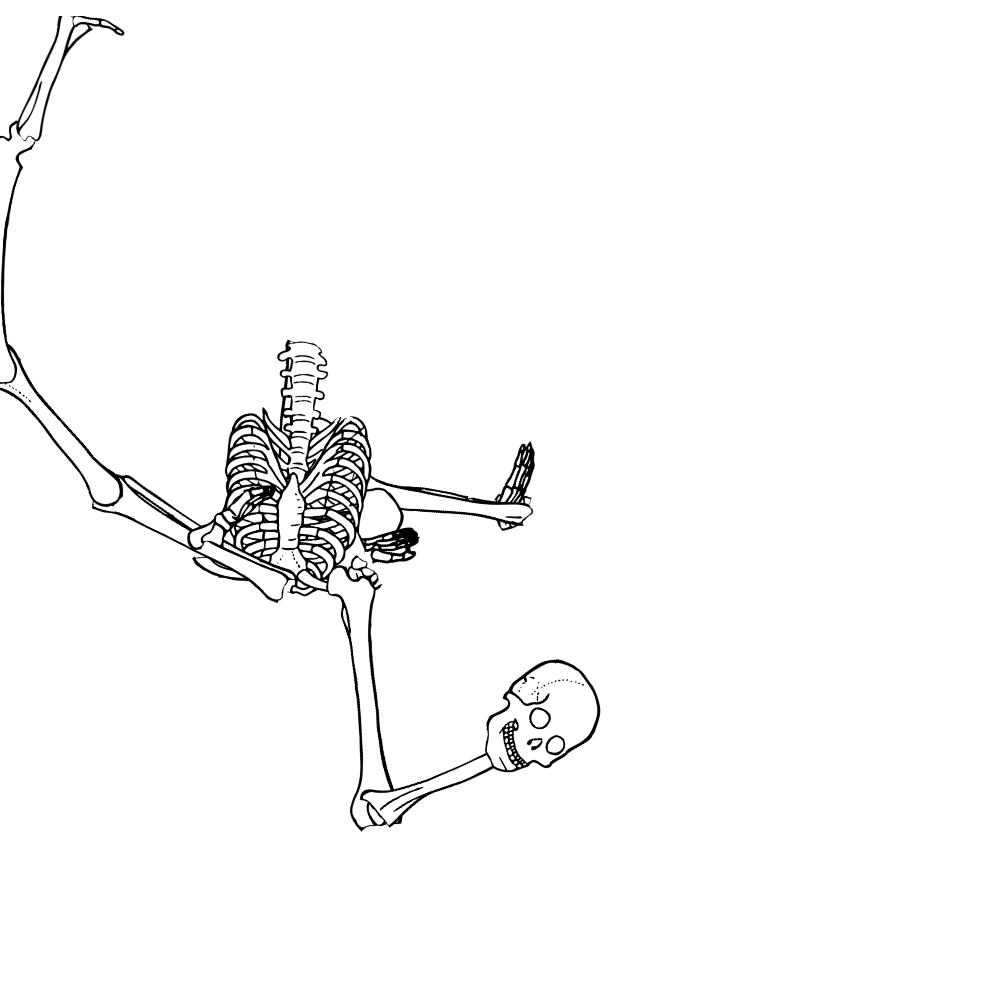 Dem bones dem bones dem – dry bones!