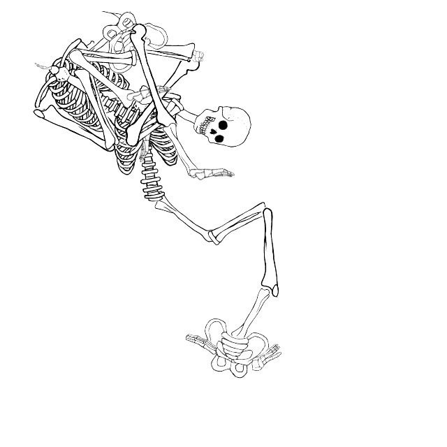 Dem bones dem bones dem – dry bones!