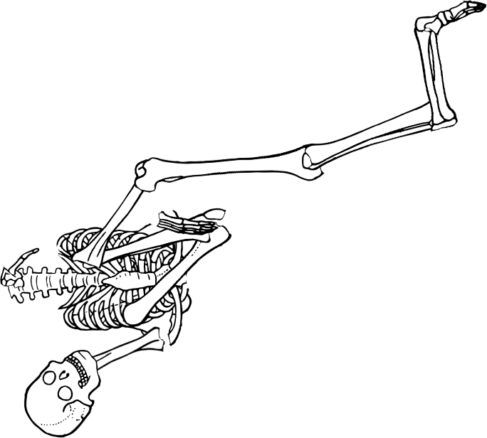 Dem bones dem bones dem – dry bones!