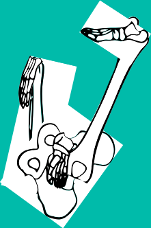 Dem bones dem bones dem – dry bones!