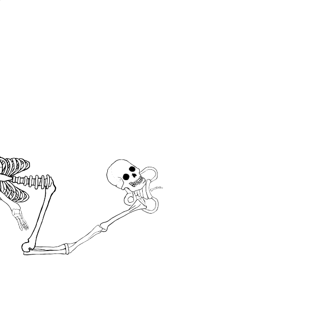 Dem bones dem bones dem – dry bones!