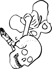 Dem bones dem bones dem – dry bones!  | Dem bones dem bones dem – extra bones!