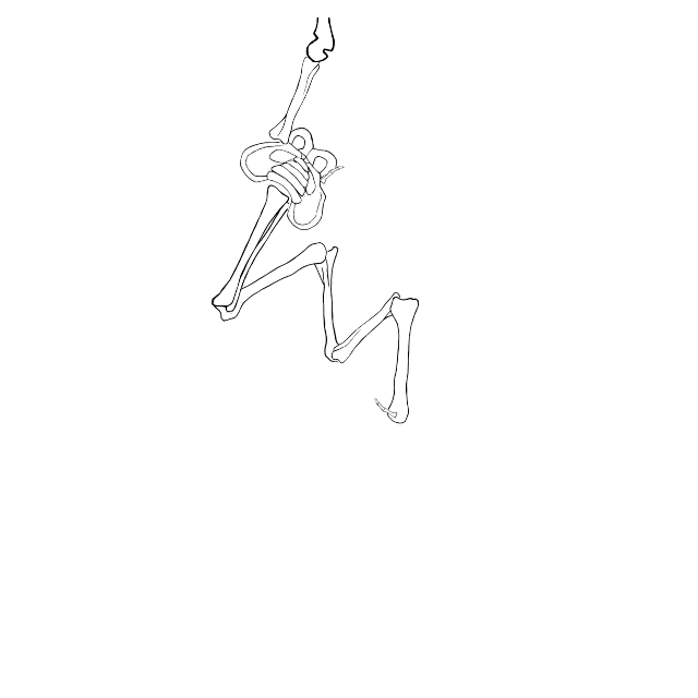 Dem bones dem bones dem – dry bones!