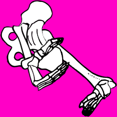 Dem bones dem bones dem – dry bones!