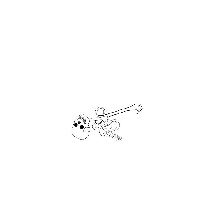 Dem bones dem bones dem – dry bones!