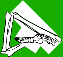 Dem bones dem bones dem – dry bones!
