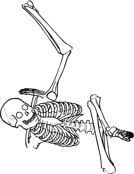 Dem bones dem bones dem – dry bones!
