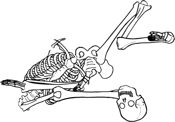 Dem bones dem bones dem – dry bones!
