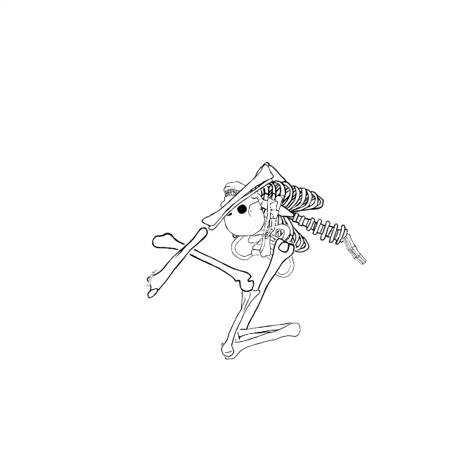 Dem bones dem bones dem – dry bones!
