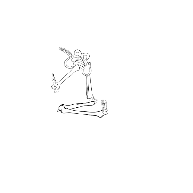 Dem bones dem bones dem – dry bones!