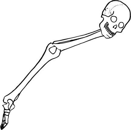 Dem bones dem bones dem – dry bones!