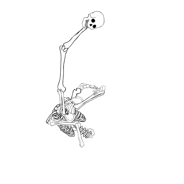 Dem bones dem bones dem – dry bones!