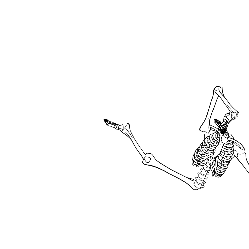 Dem bones dem bones dem – dry bones!