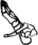 Dem bones dem bones dem – dry bones!