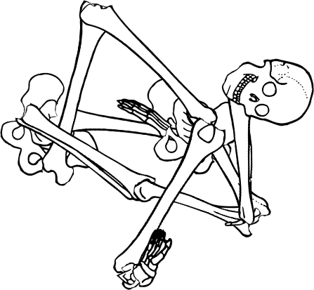 Dem bones dem bones dem – dry bones! Dem bones dem bones dem – extra bones!