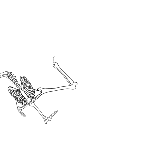 Dem bones dem bones dem – dry bones!