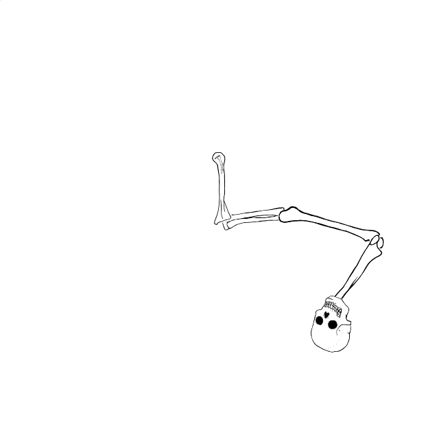Dem bones dem bones dem – dry bones!