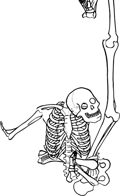 Dem bones dem bones dem – dry bones!