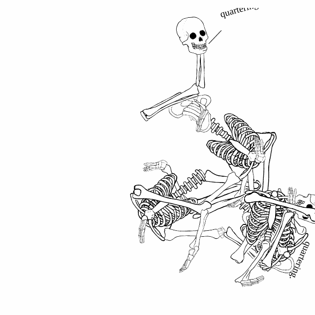 Dem bones dem bones dem – dry bones!