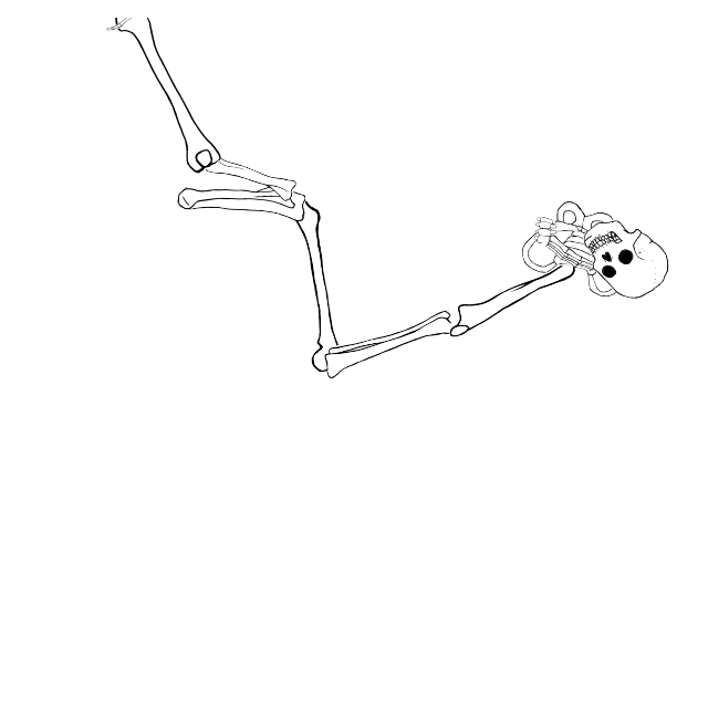 Dem bones dem bones dem – dry bones!