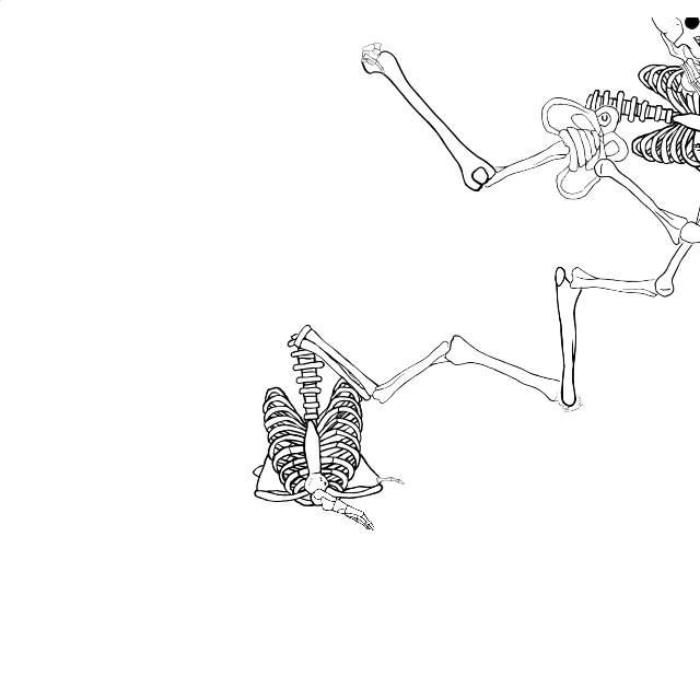 Dem bones dem bones dem – dry bones!