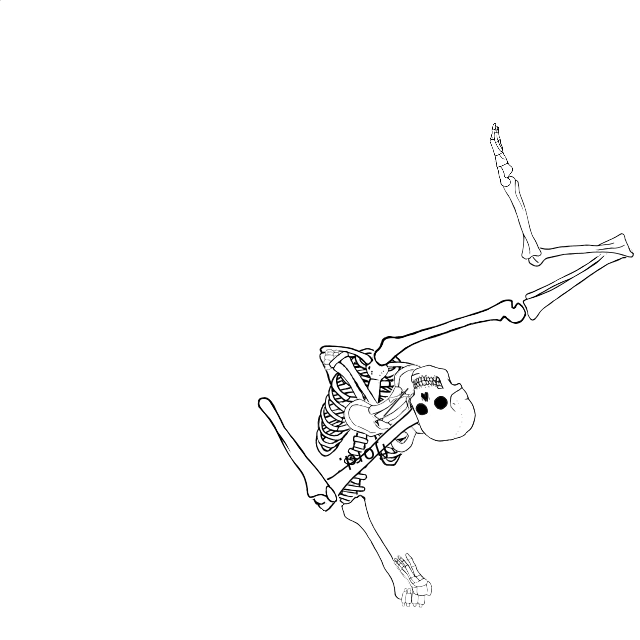 Dem bones dem bones dem – dry bones!