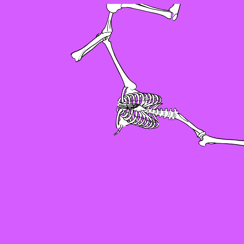 Dem bones dem bones dem – dry bones! Dem bones dem bones dem – extra bones!
