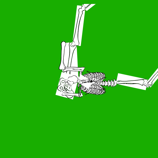 Dem bones dem bones dem – dry bones!