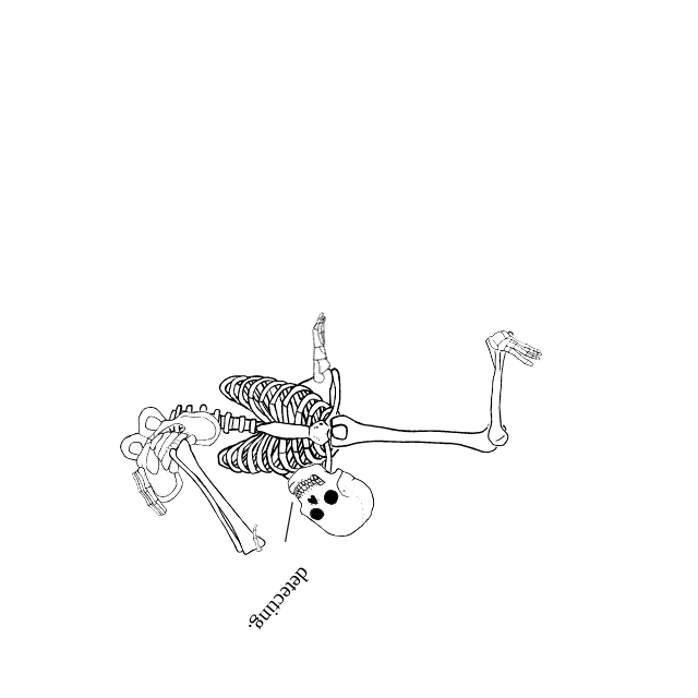 Dem bones dem bones dem – dry bones!