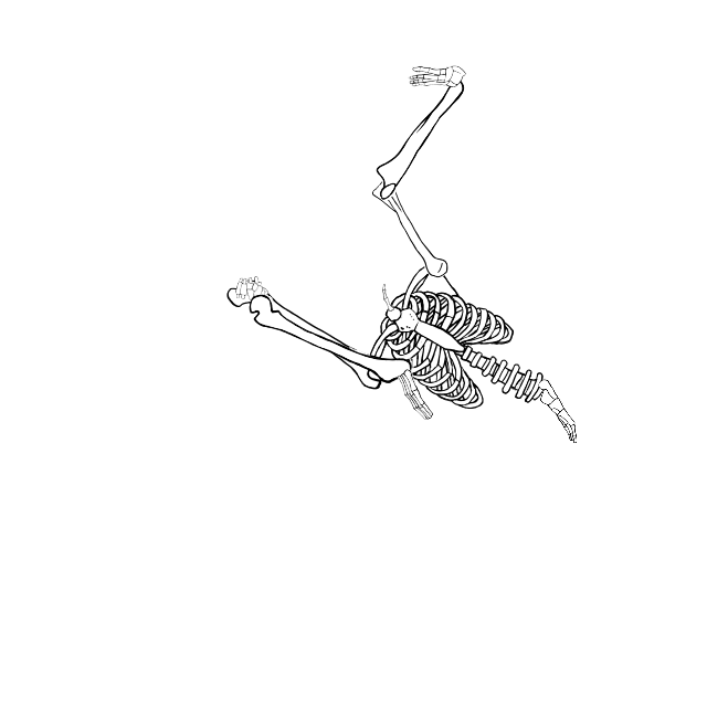 Dem bones dem bones dem – dry bones!