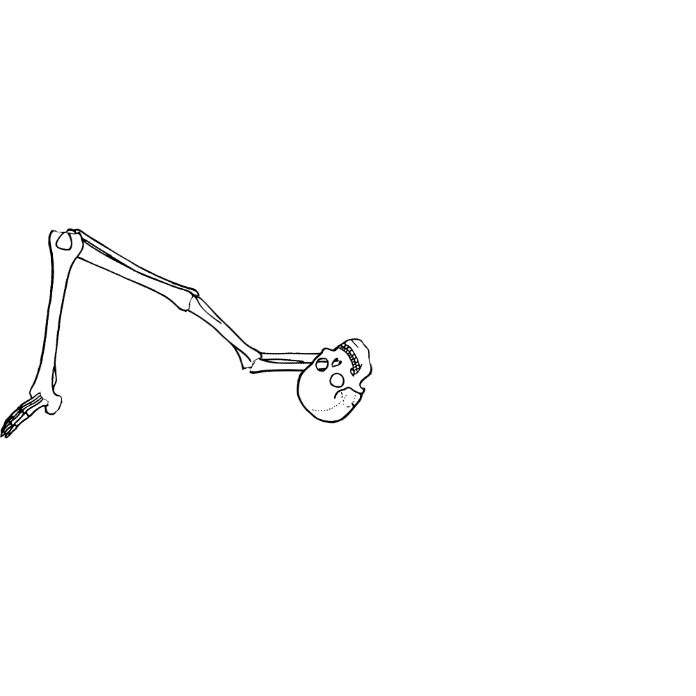 Dem bones dem bones dem – dry bones!