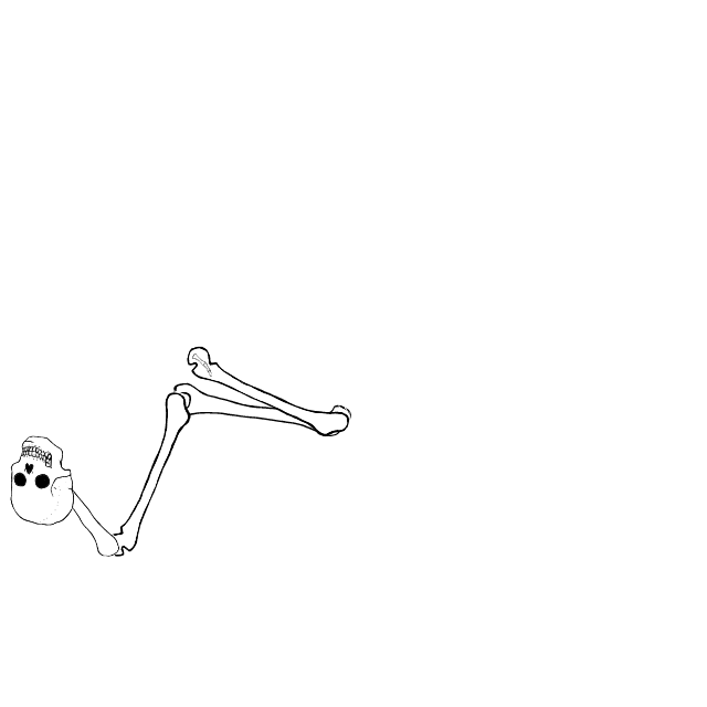Dem bones dem bones dem – dry bones!