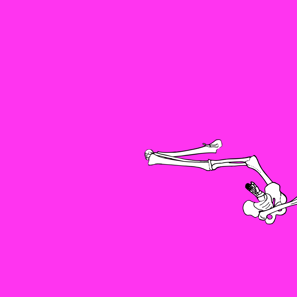 Dem bones dem bones dem – dry bones!
