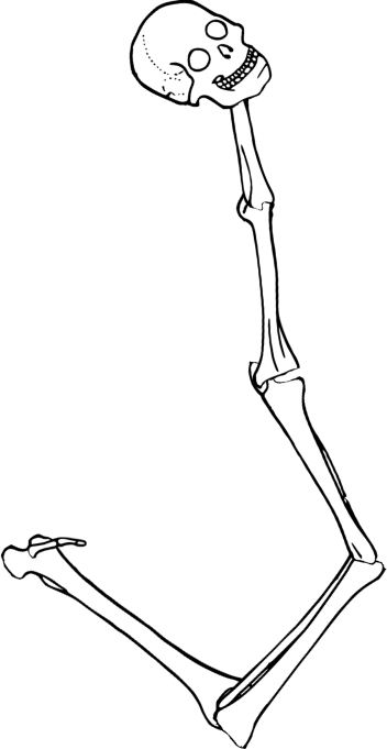 Dem bones dem bones dem – dry bones!