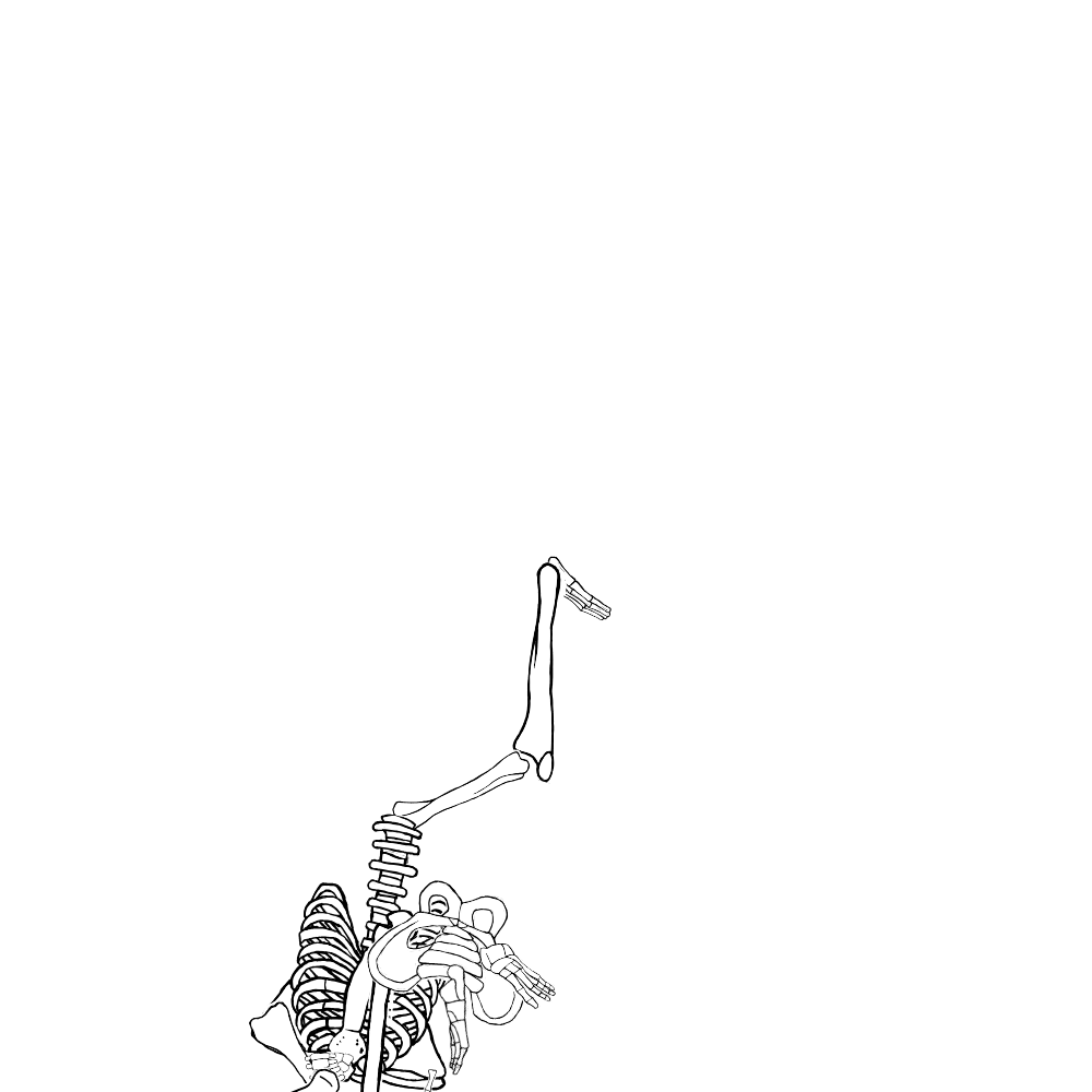 Dem bones dem bones dem – dry bones!