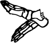 Dem bones dem bones dem – dry bones!