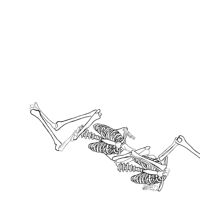 Dem bones dem bones dem – dry bones!