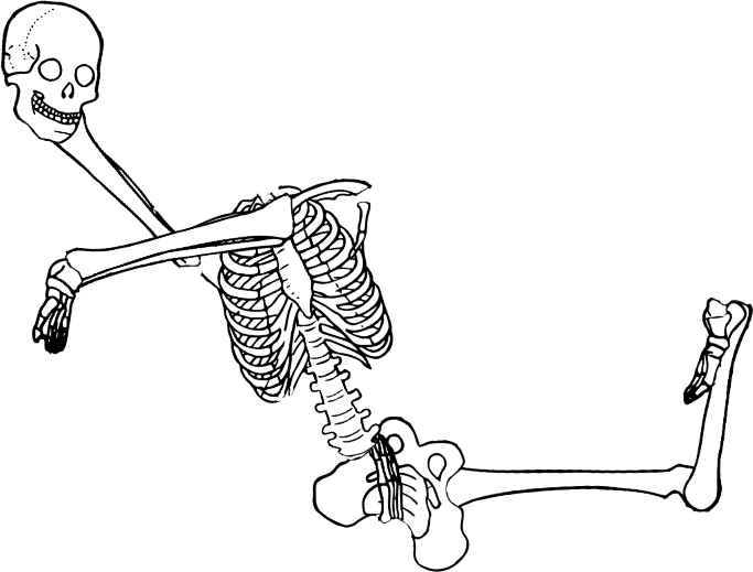Dem bones dem bones dem – dry bones!