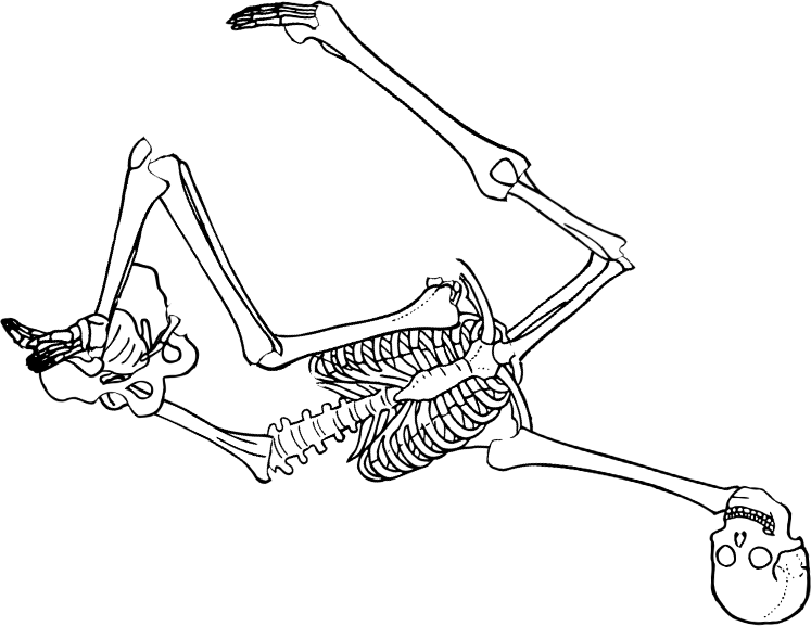 Dem bones dem bones dem – dry bones!