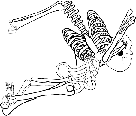 Dem bones dem bones dem – dry bones!