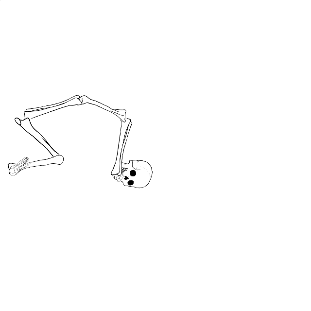 Dem bones dem bones dem – dry bones!