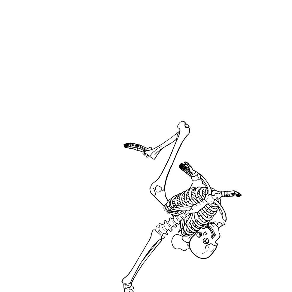 Dem bones dem bones dem – dry bones!