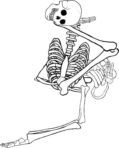 Dem bones dem bones dem – dry bones!
