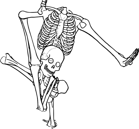 Dem bones dem bones dem – dry bones!