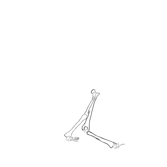 Dem bones dem bones dem – dry bones!