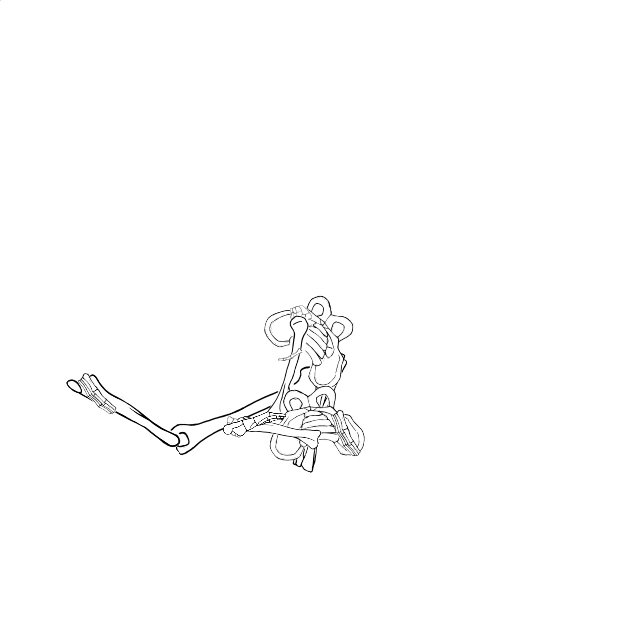 Dem bones dem bones dem – dry bones!
